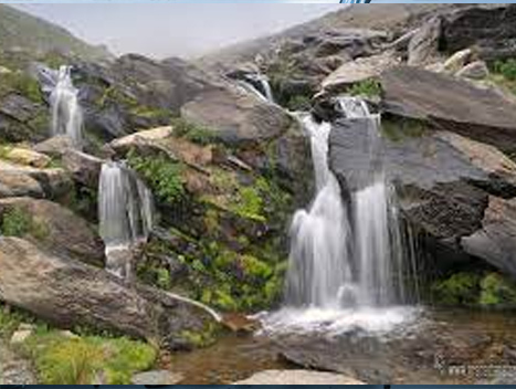 blog-image