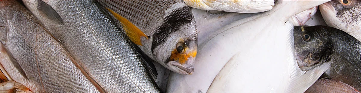 Fresh fish prepared for Danah seafood products