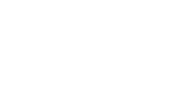Global Synergy Partners